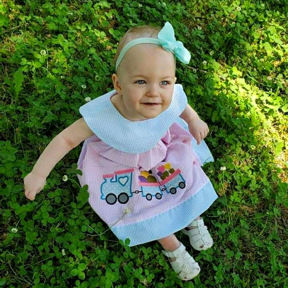 lil cactus applique seersucker dress 24month